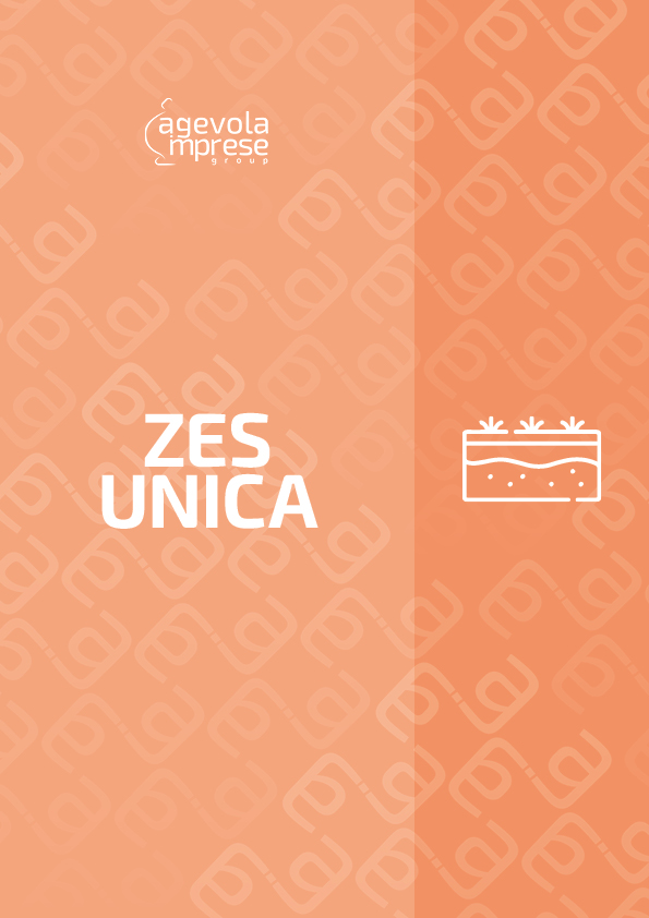 Scheda ZES Unica 2024